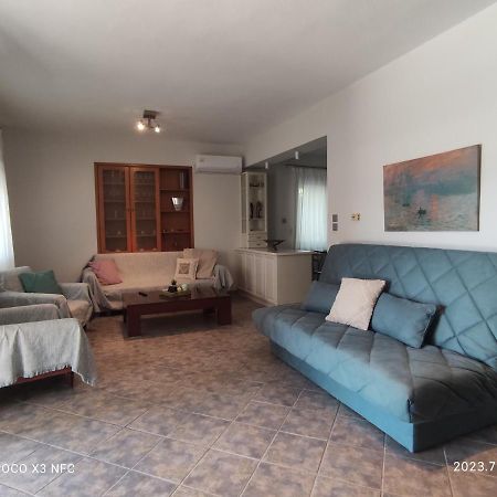 Garden House Villa PalaiónTsiflíkion Dış mekan fotoğraf