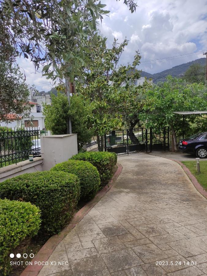 Garden House Villa PalaiónTsiflíkion Dış mekan fotoğraf