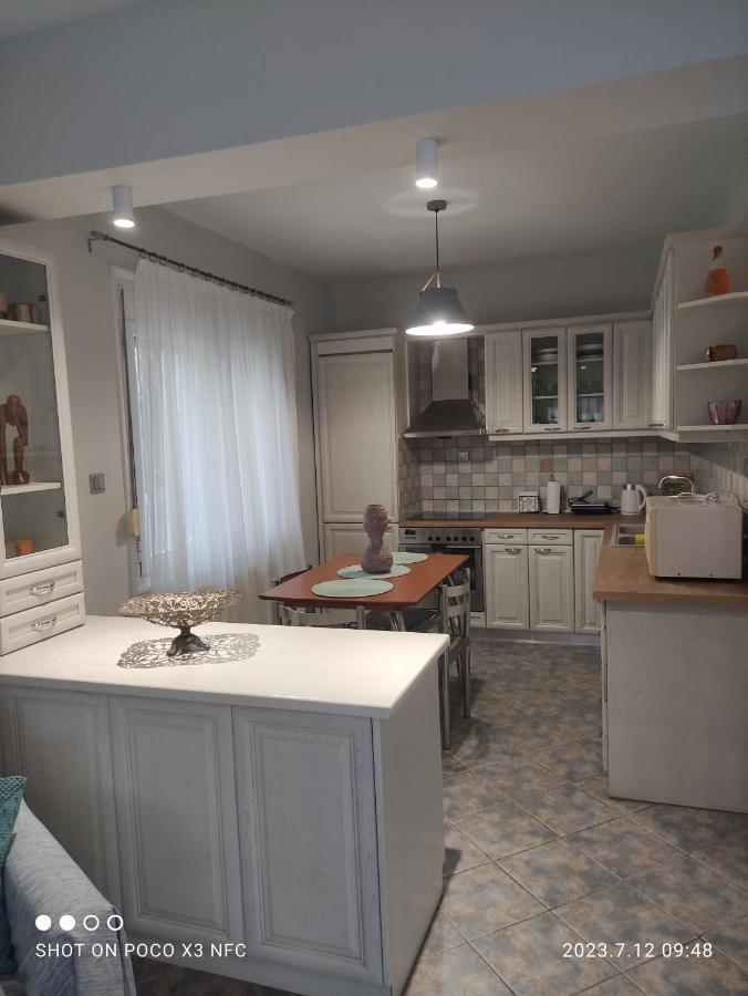 Garden House Villa PalaiónTsiflíkion Dış mekan fotoğraf