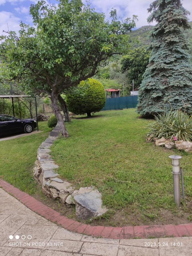 Garden House Villa PalaiónTsiflíkion Dış mekan fotoğraf